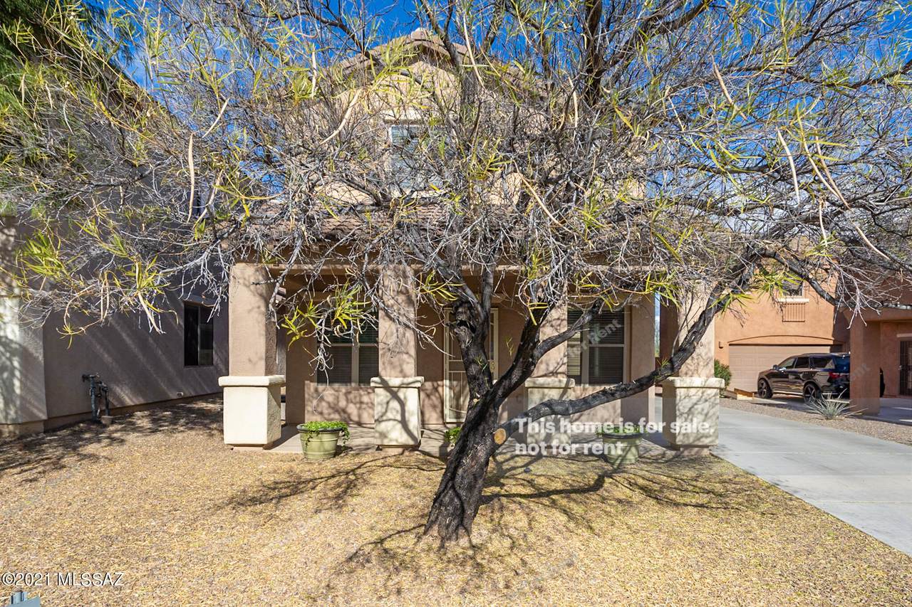 290 Calle Cajeta - Photo 1