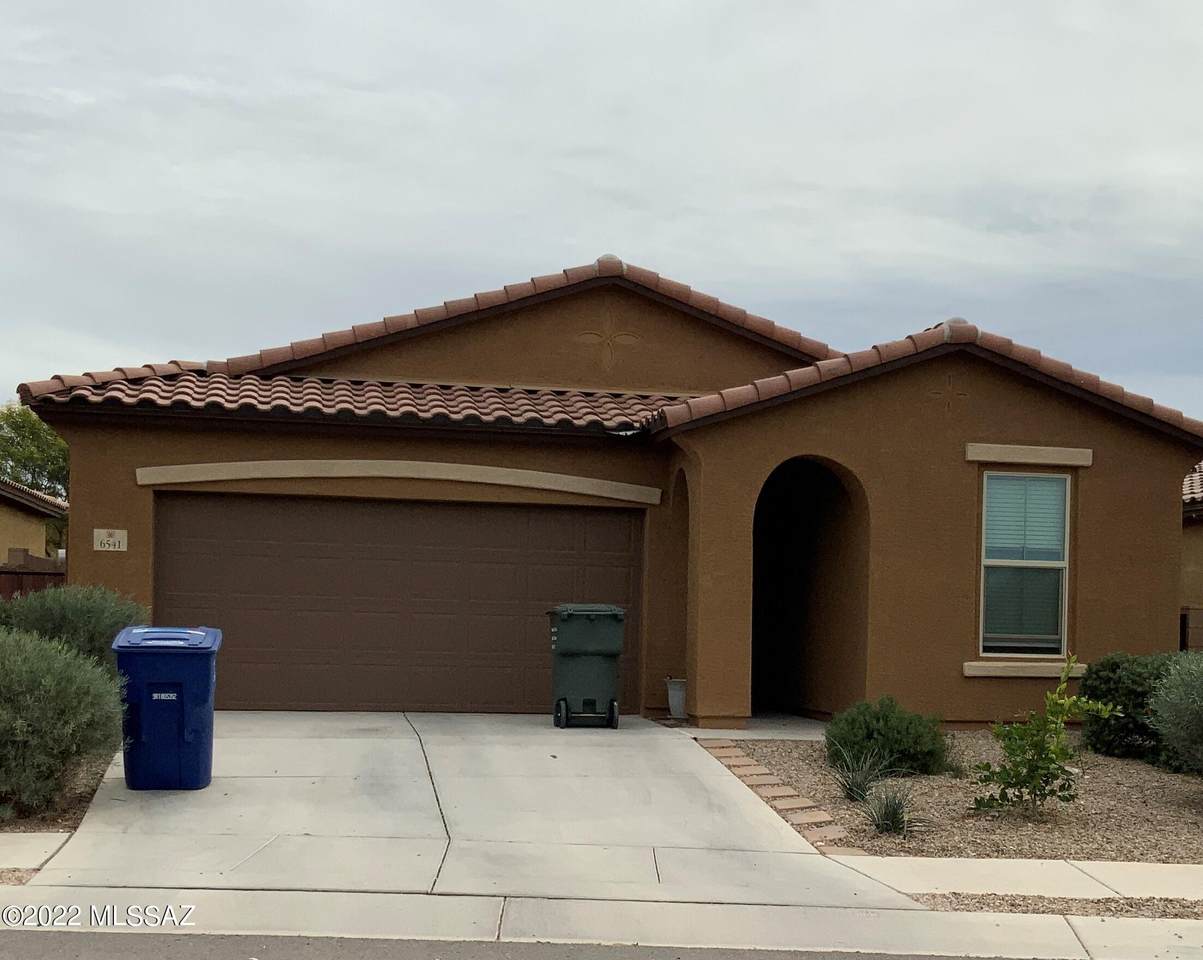 6541 Vuelta Tierra Blanca - Photo 1