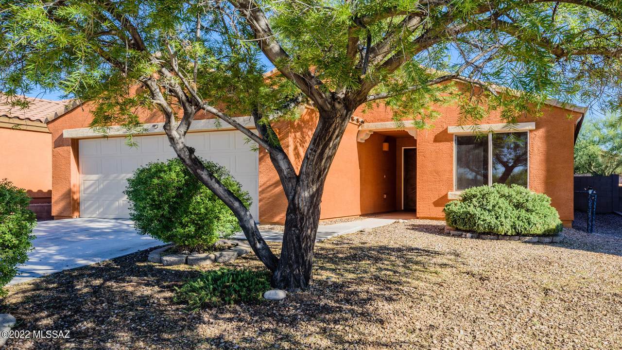 7884 Jewelflower Drive - Photo 1