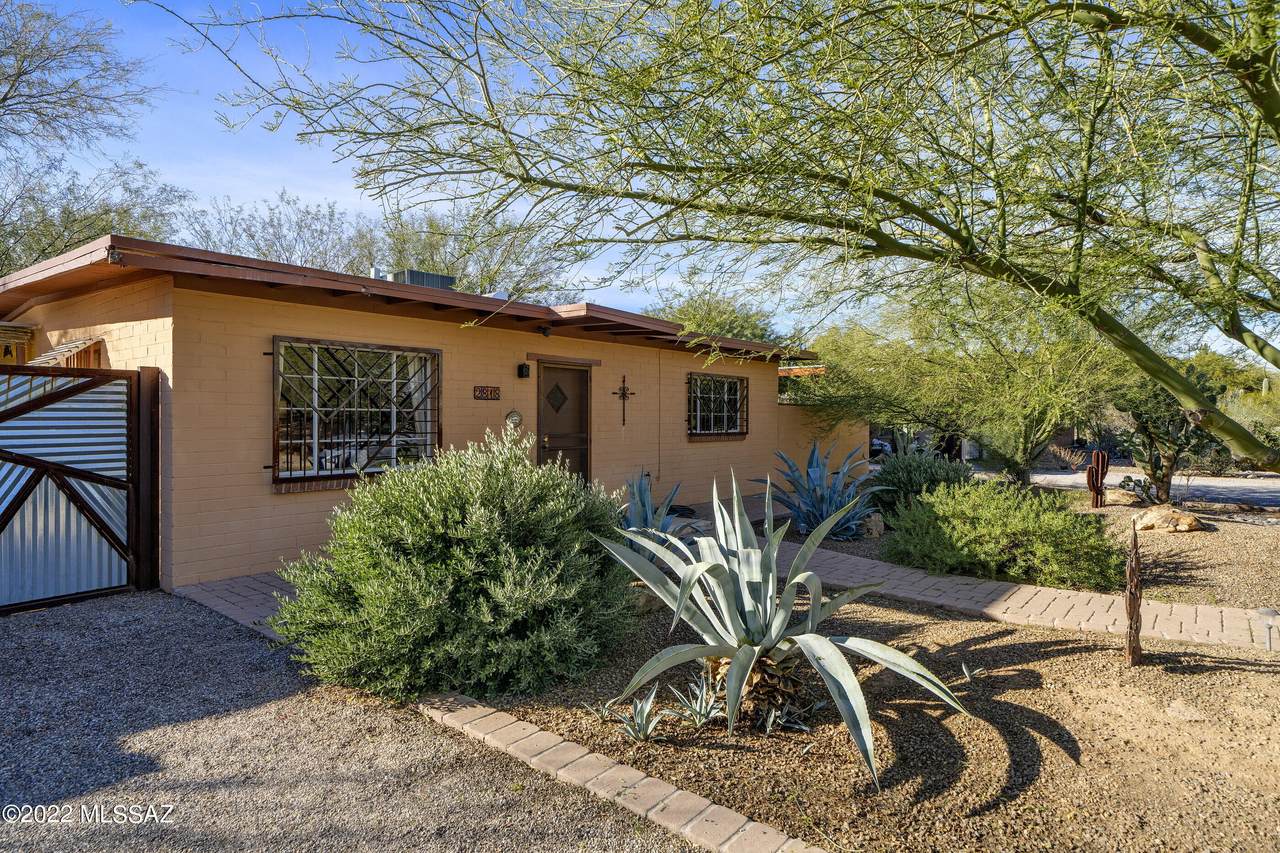 2818 Blacklidge Drive - Photo 1