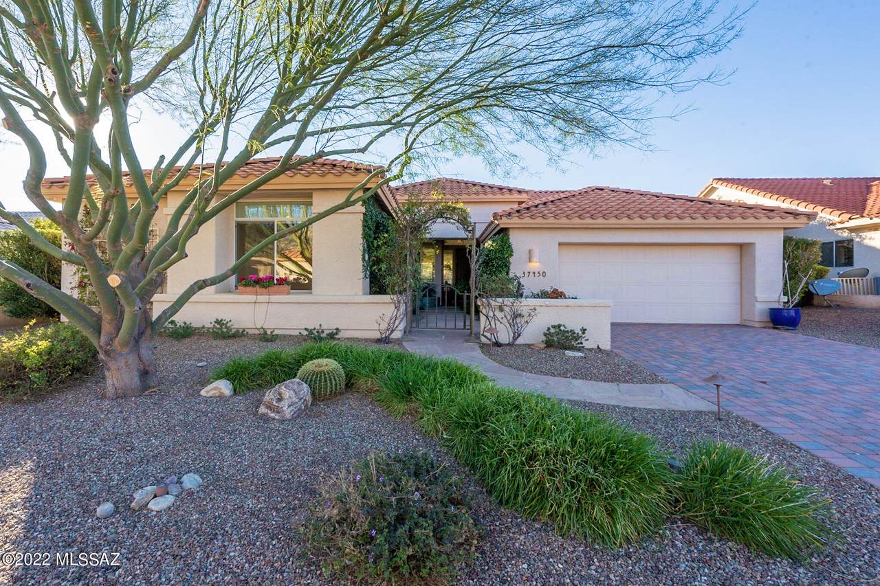 37450 Ocotillo Canyon Drive - Photo 1
