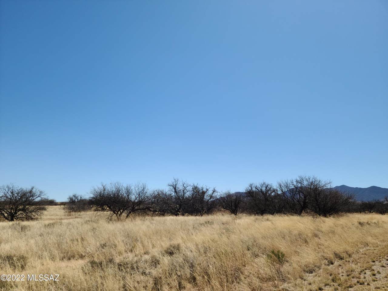 Antelope Street - Photo 1