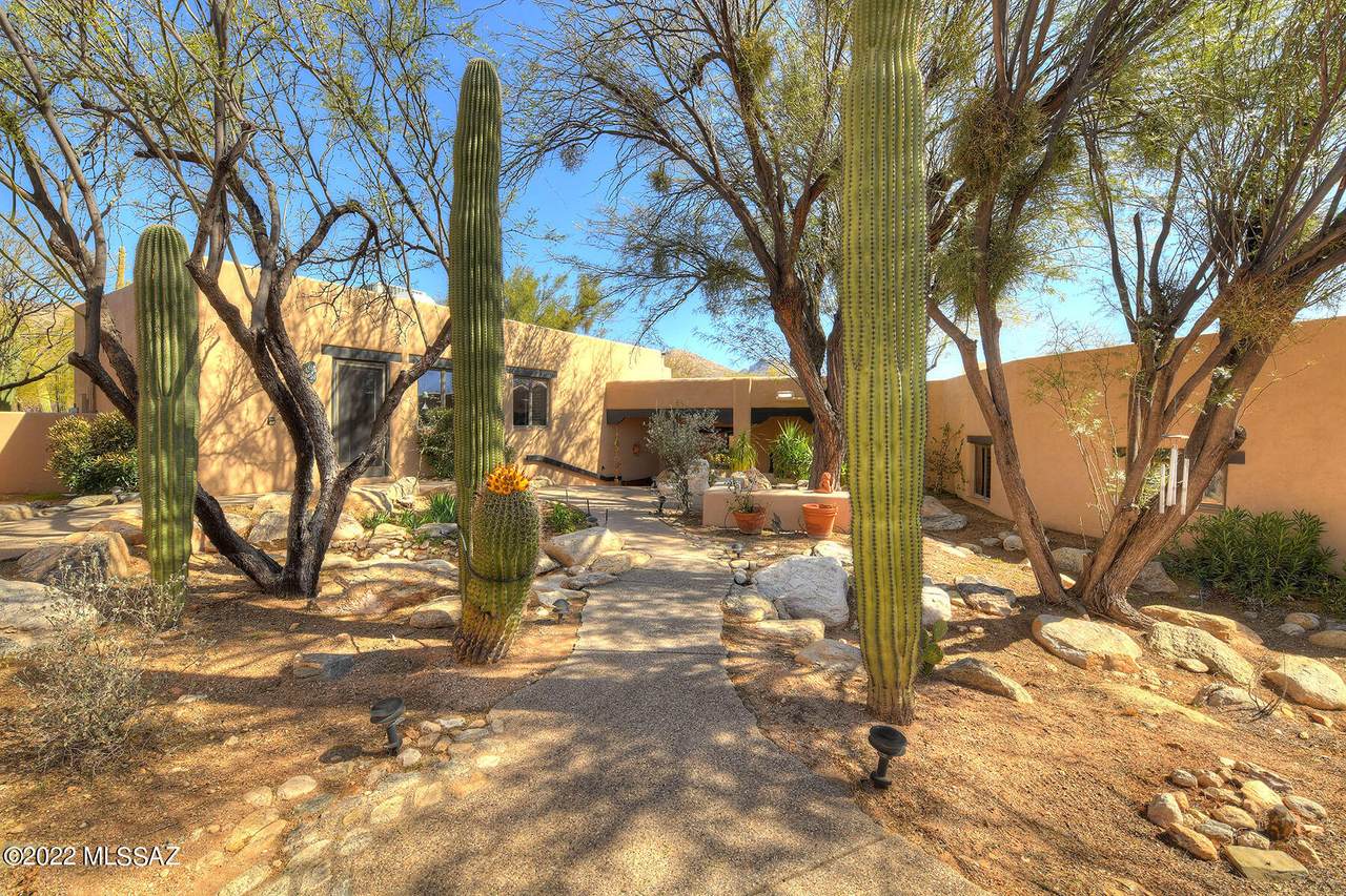 11695 Summer Trail - Photo 1