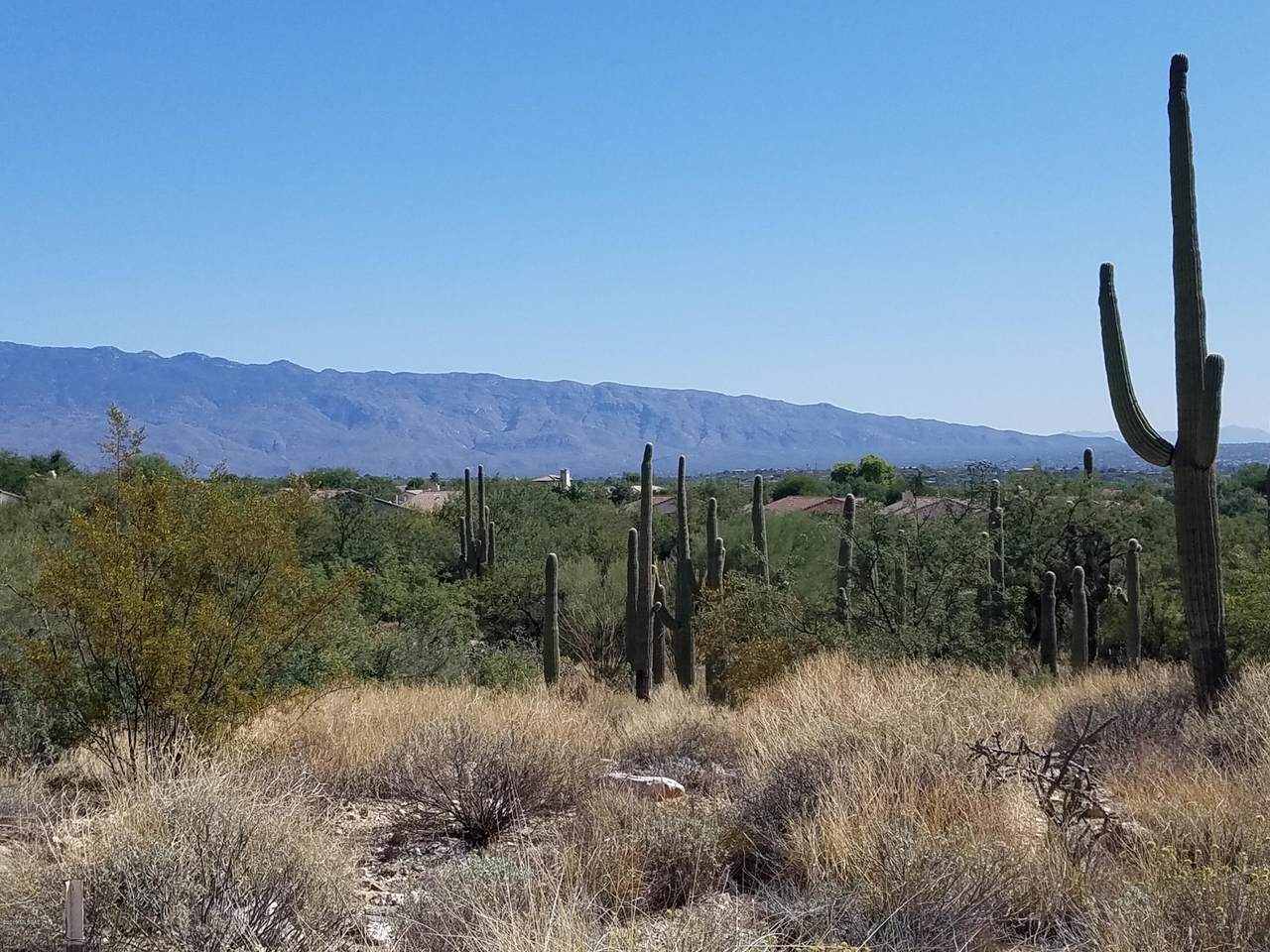 9630 Sabino Estates Drive - Photo 1