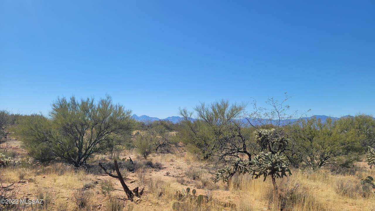 15455 Pyle Road - Photo 1