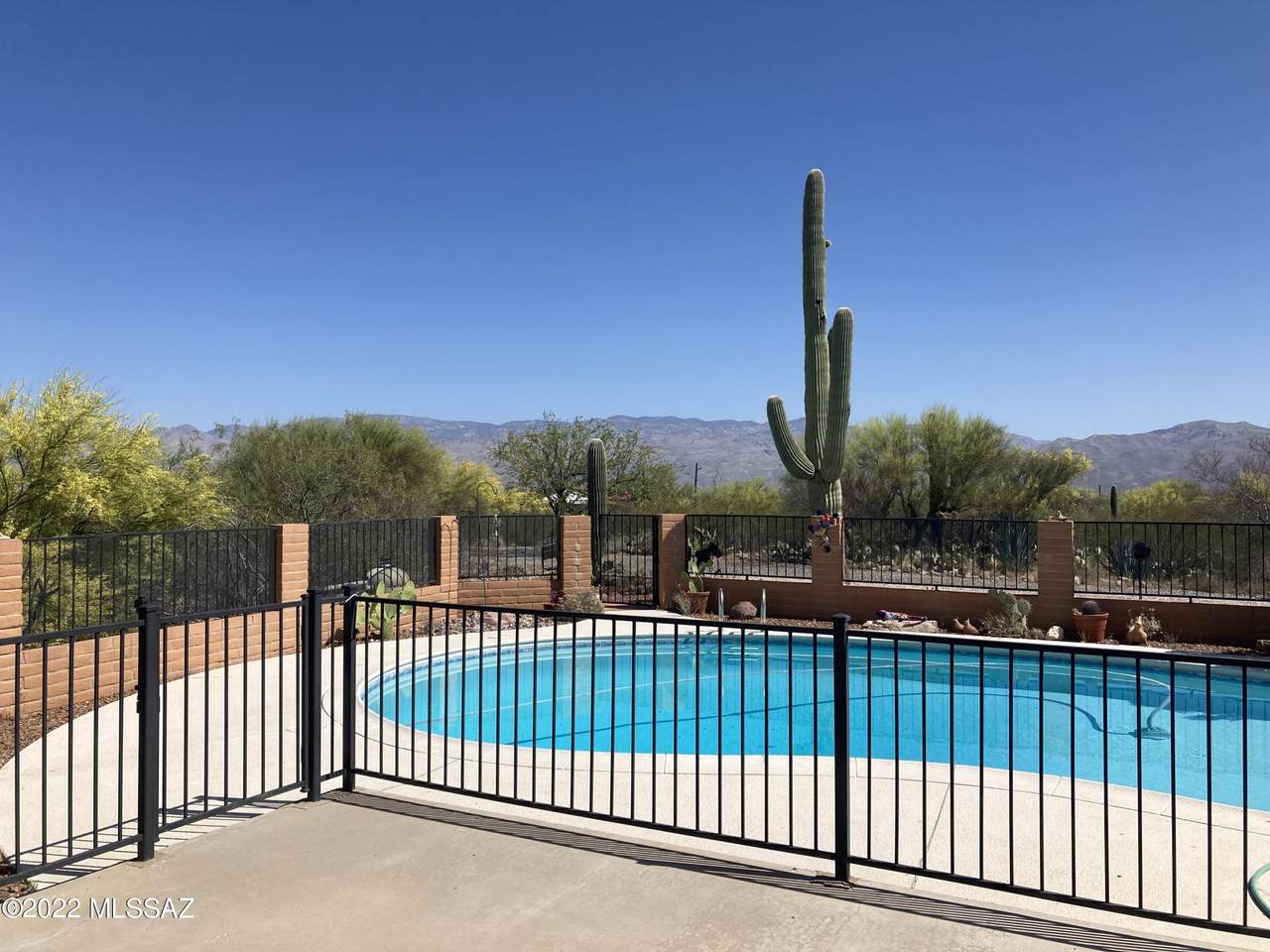 11850 Calle Aurora - Photo 1