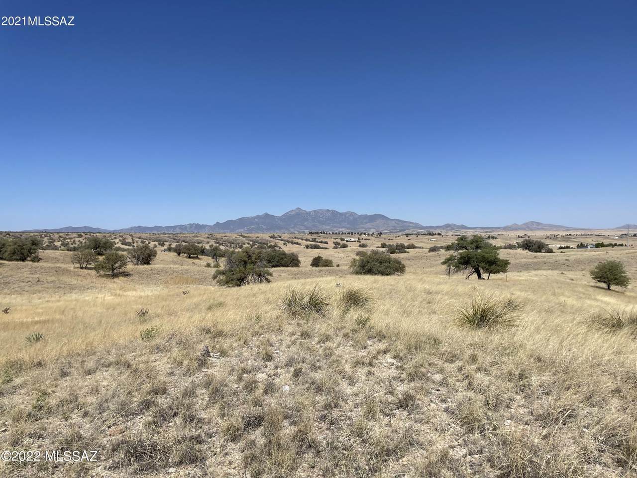 TBD Hwy 83 - Photo 1