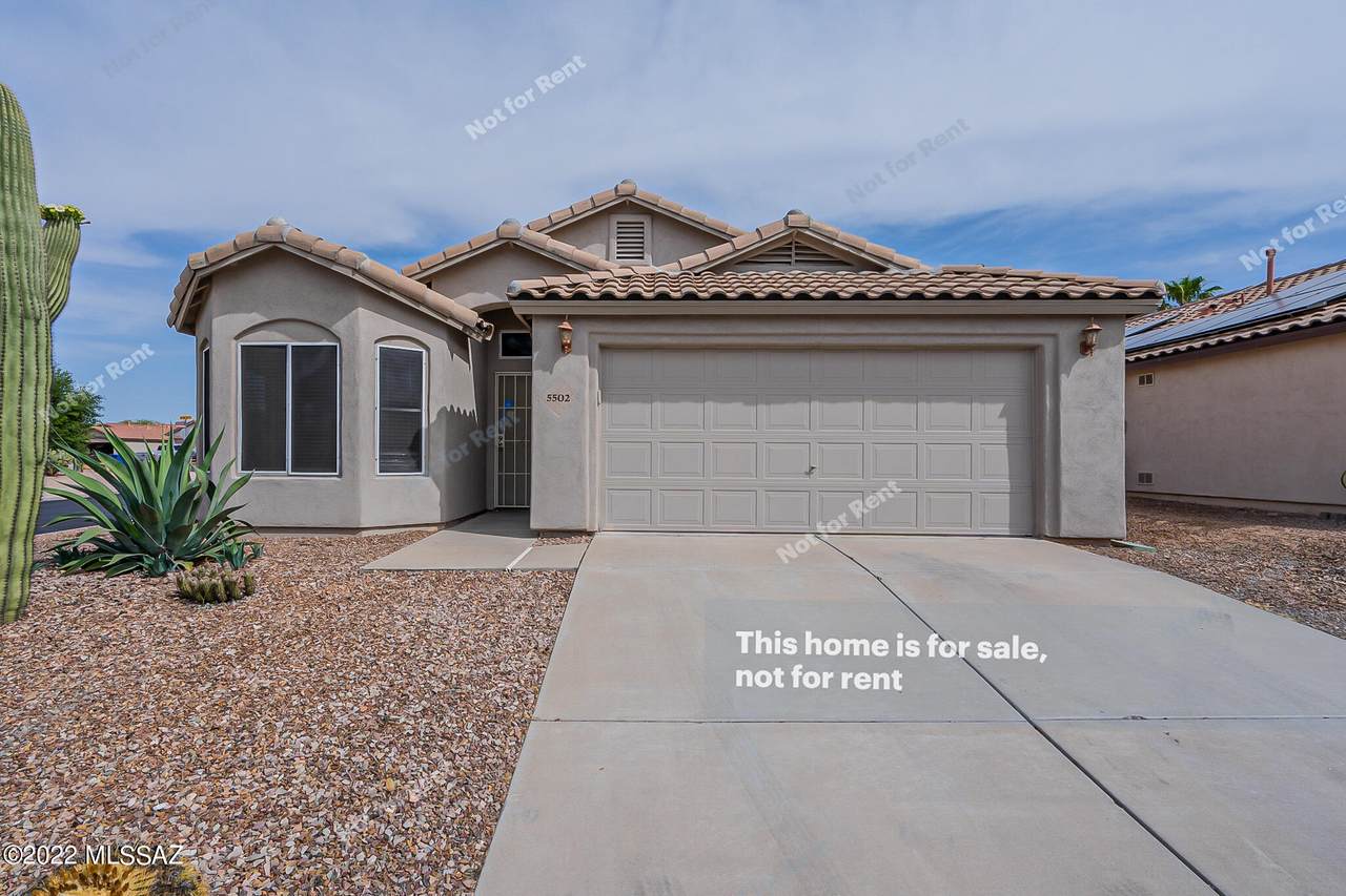 5502 Whiptail Court - Photo 1