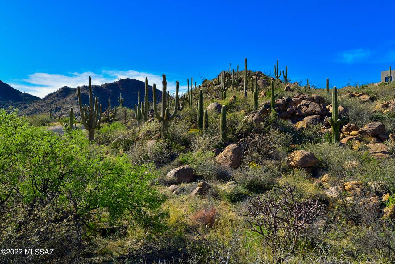 15490 Dove Canyon Pass - Photo 1