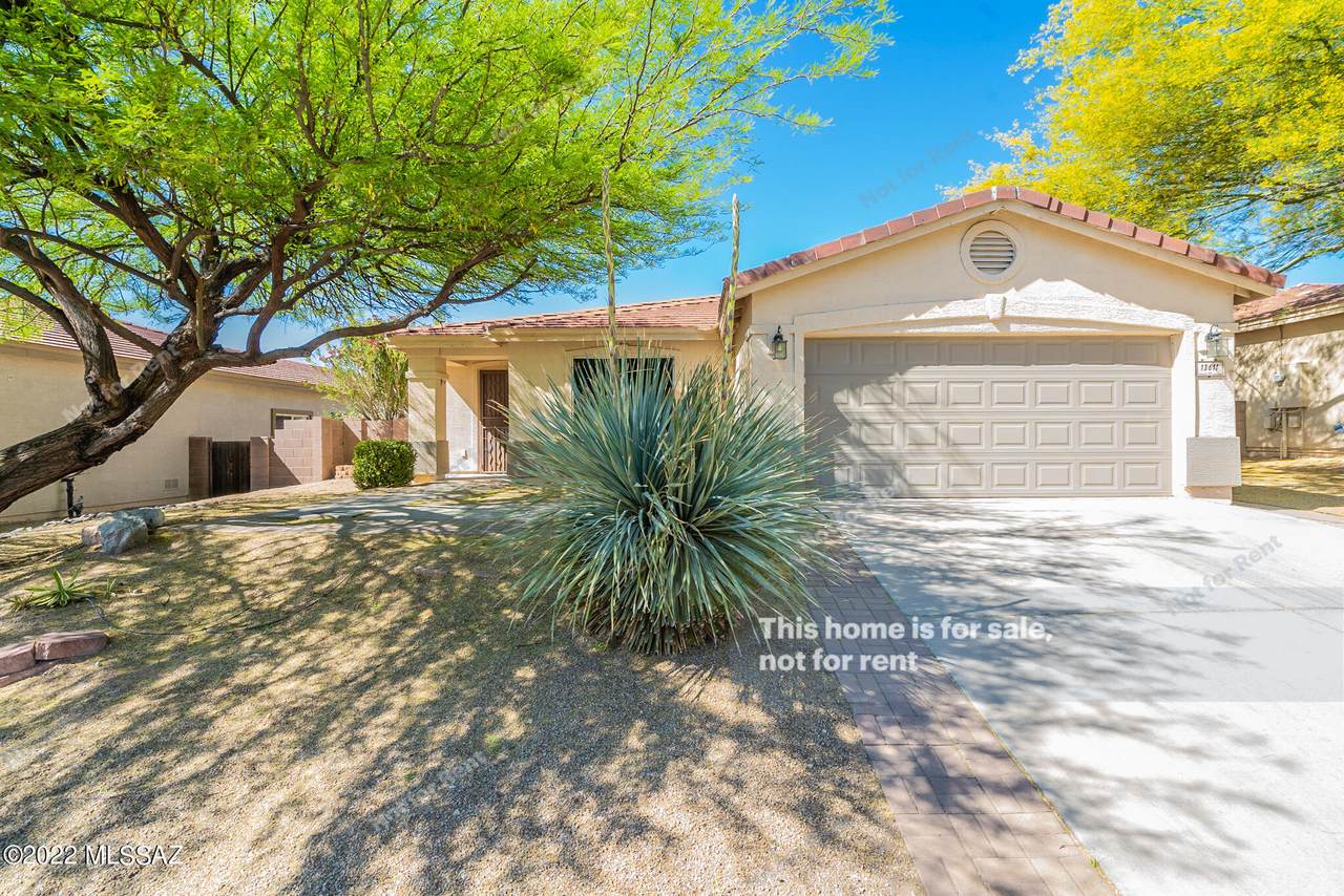13611 Diablo Creek Drive - Photo 1