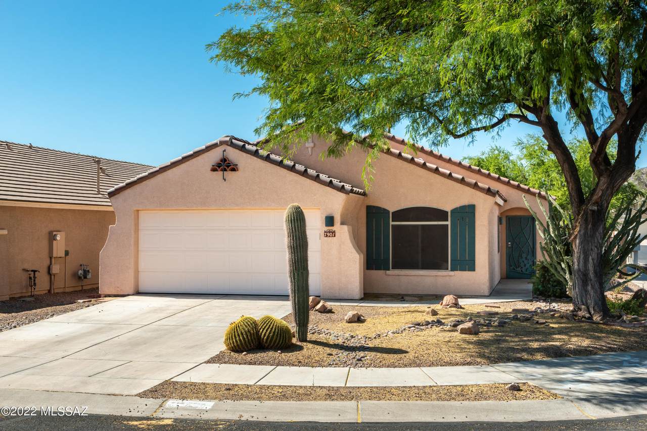 7901 Mural Hill Drive - Photo 1
