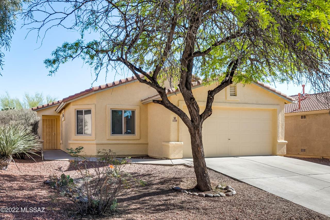 2238 Painted Sunset Circle - Photo 1