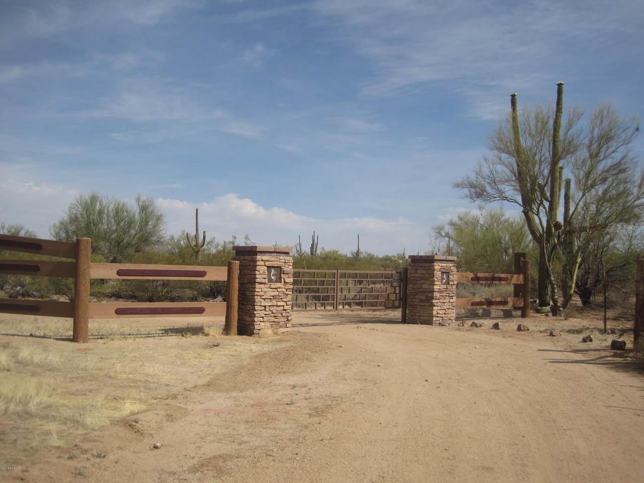 40679 Staghorn Lane - Photo 1