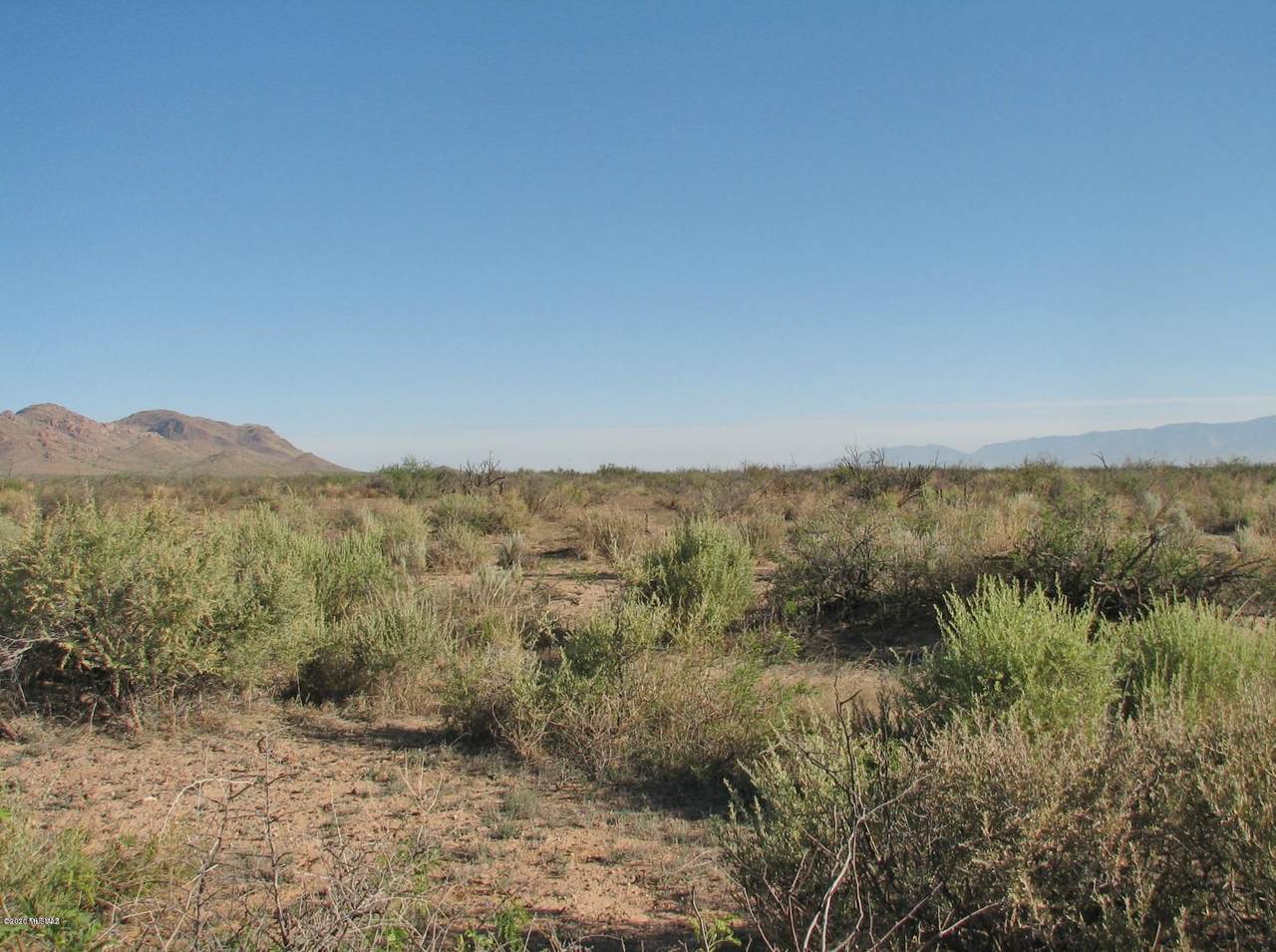 563.4 Acre Marguerite Road - Photo 1