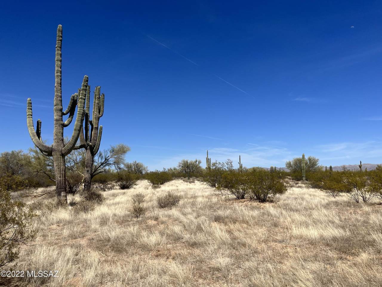 0 Desert Ranch Way Lot A - Photo 1