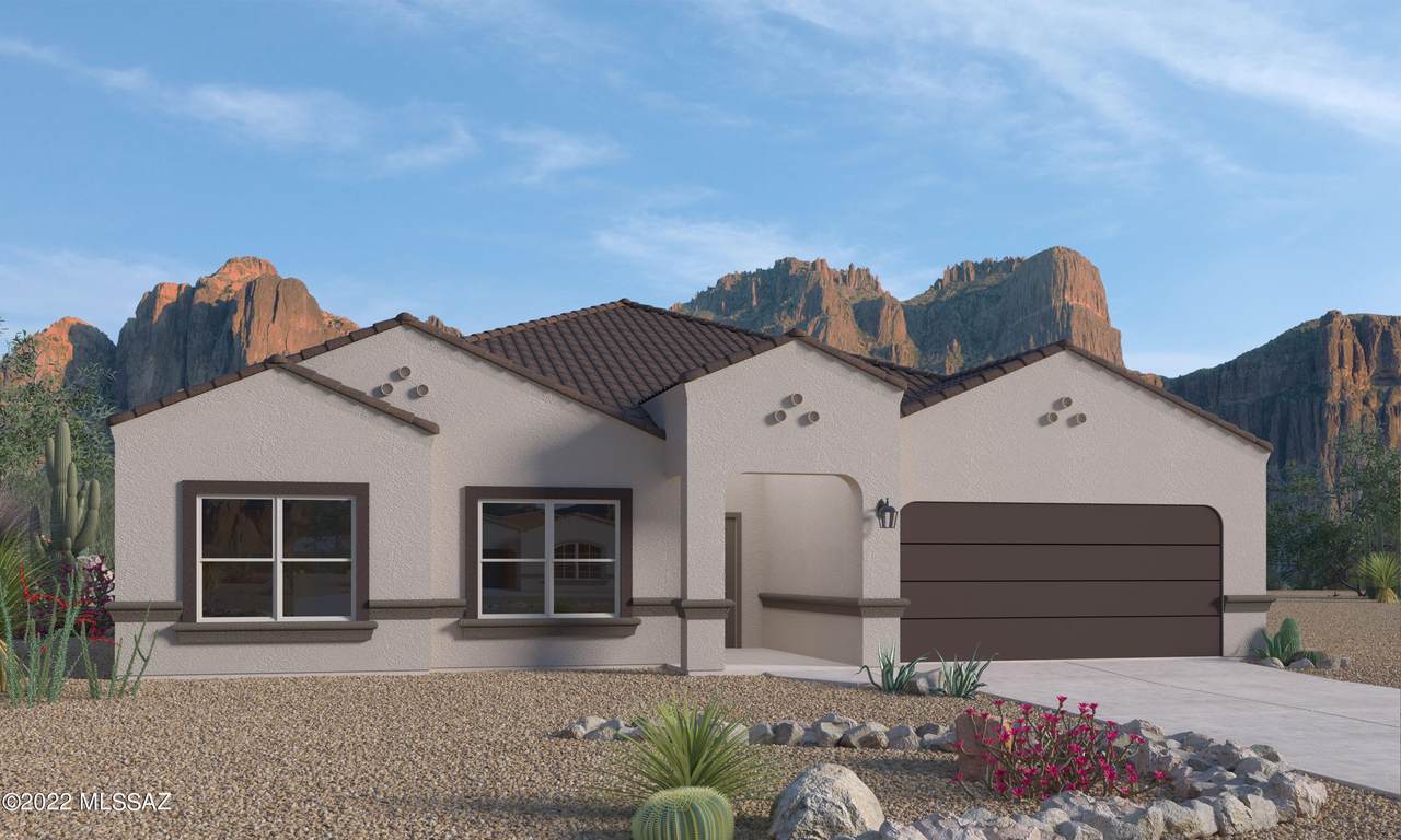 10301 Pink Trumpet Drive - Photo 1