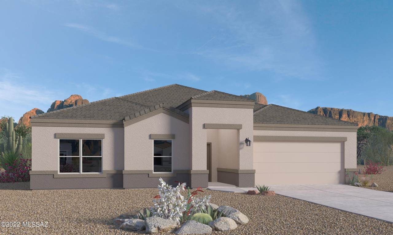 10331 Pink Trumpet Drive - Photo 1