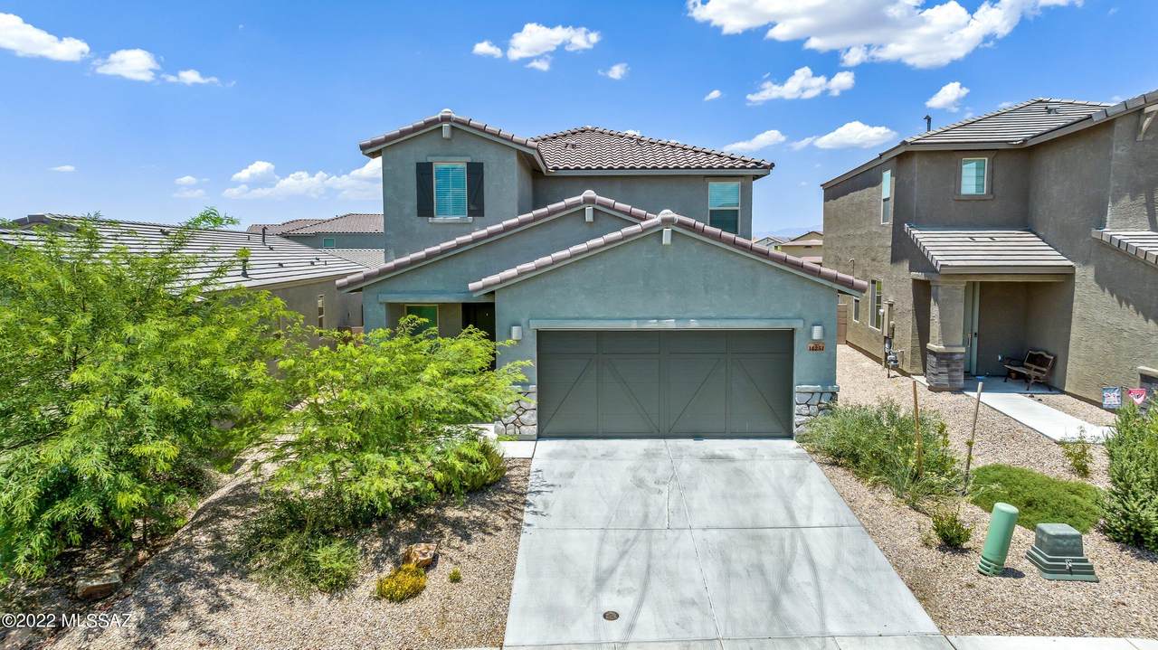 14251 Yellow Sage Lane - Photo 1
