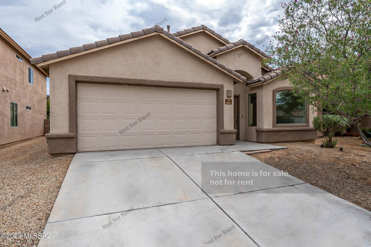 6647 Winter Valley Way - Photo 1