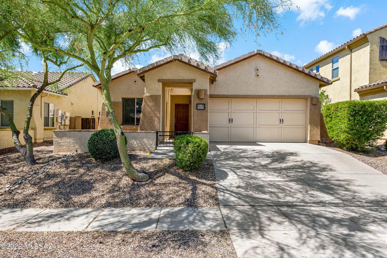 1246 Montelupo Drive - Photo 1