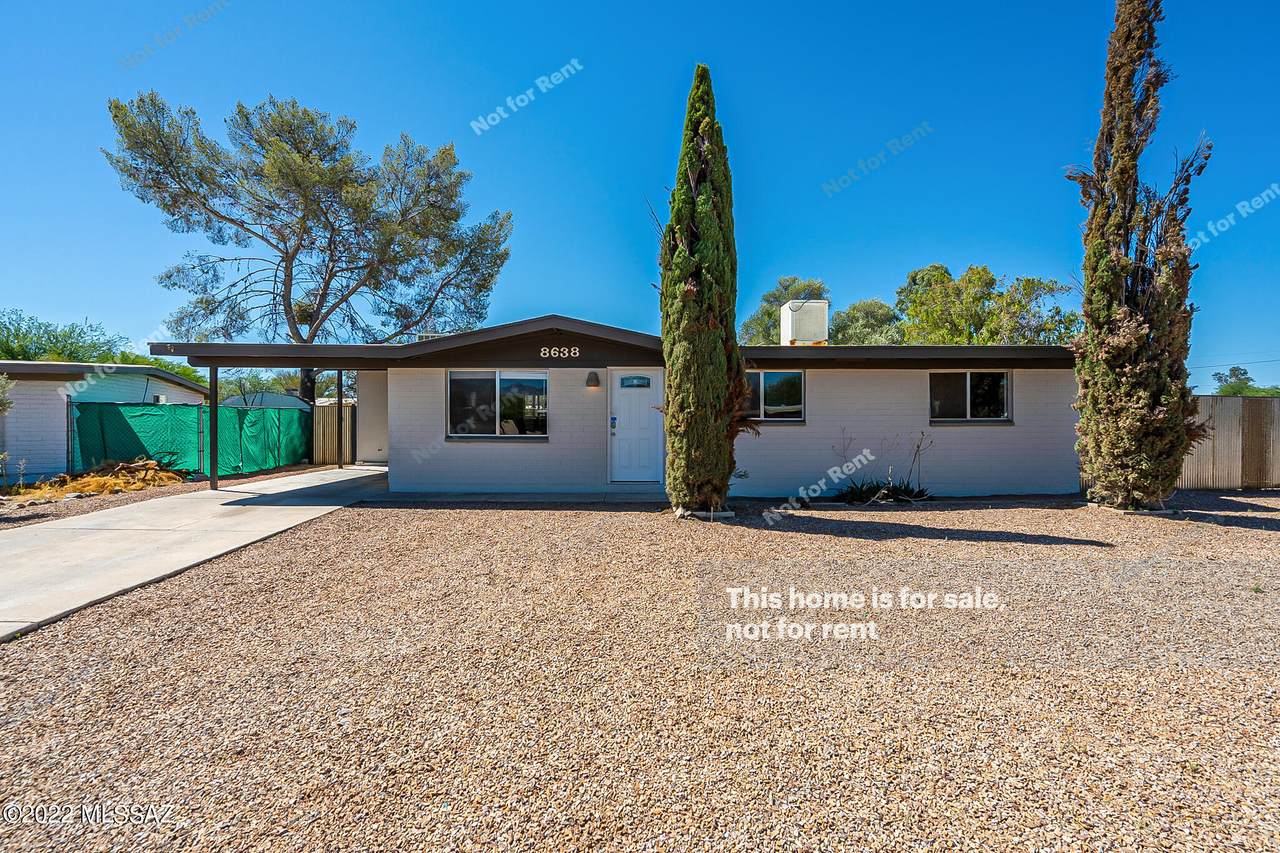 8638 Stearn Lake Drive - Photo 1
