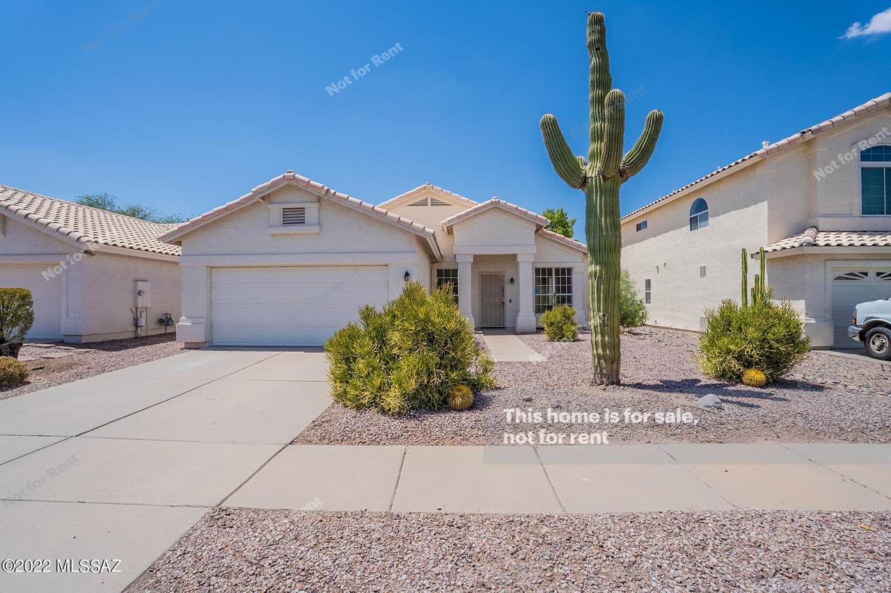 9019 Palm Brook Drive - Photo 1