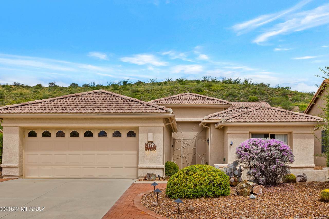 37920 Skyline Drive - Photo 1