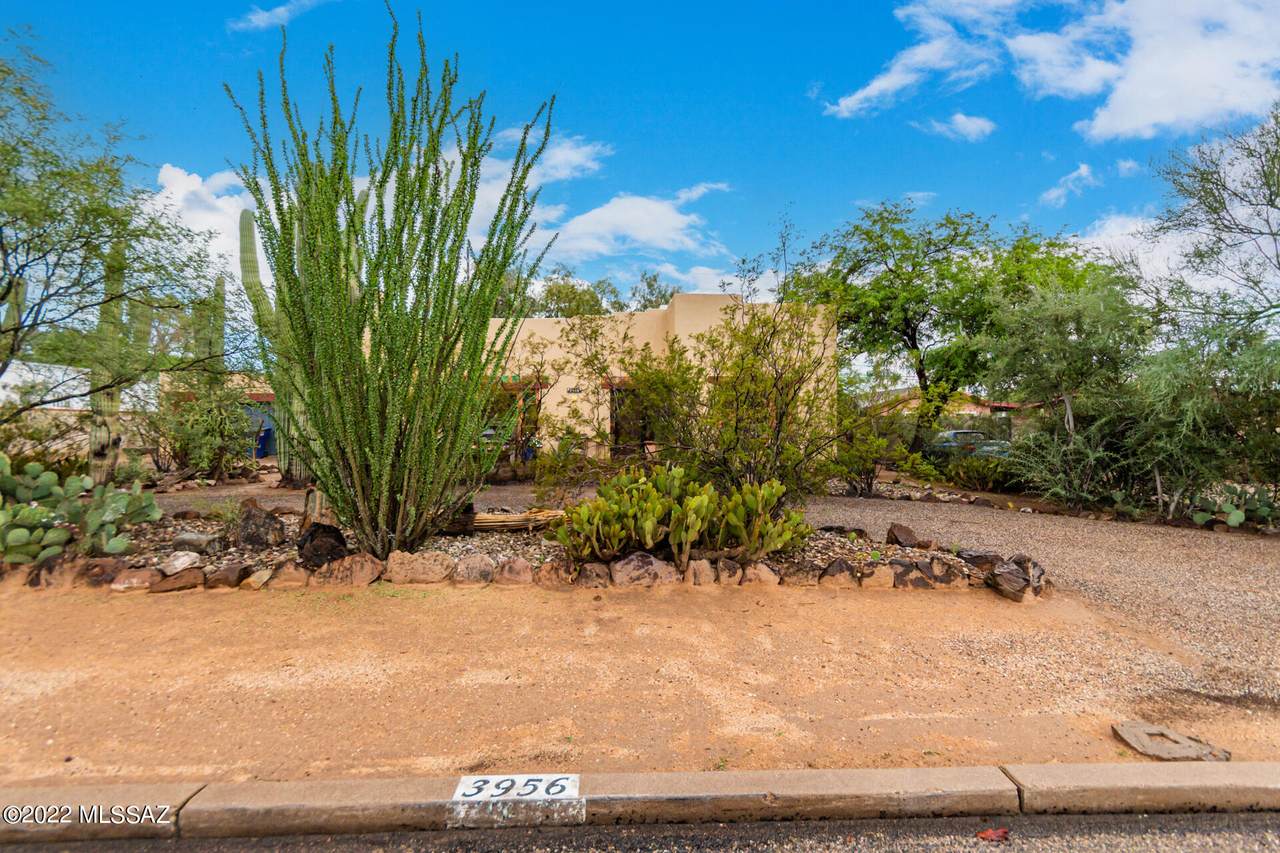 3956 Camino De Palmas - Photo 1