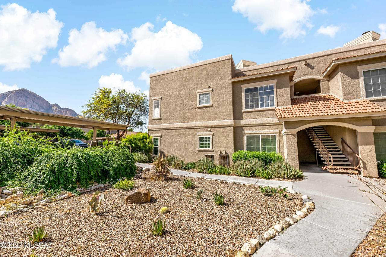 1500 Pusch Wilderness Drive - Photo 1