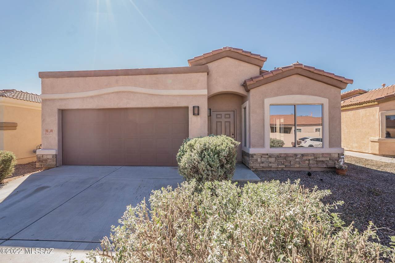 14508 Camino Tierra Monte - Photo 1