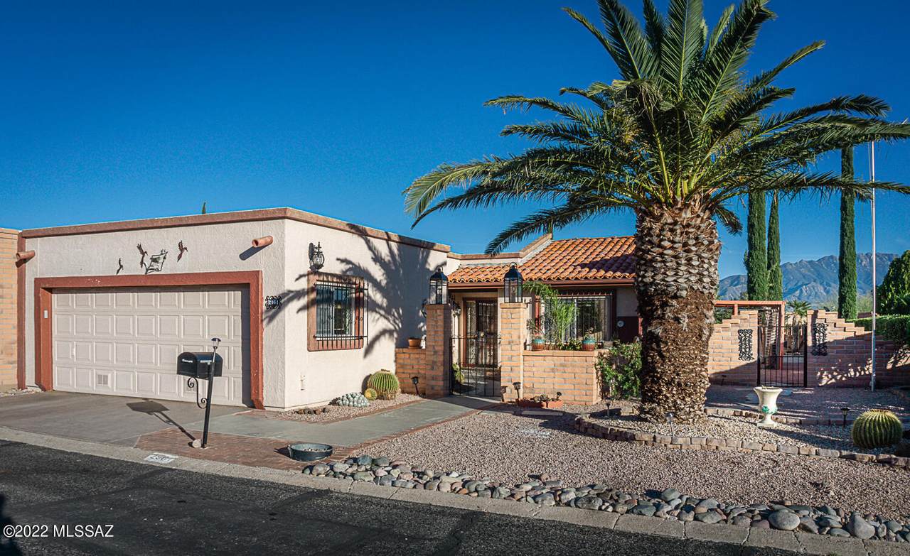 2961 Placita San Javier - Photo 1