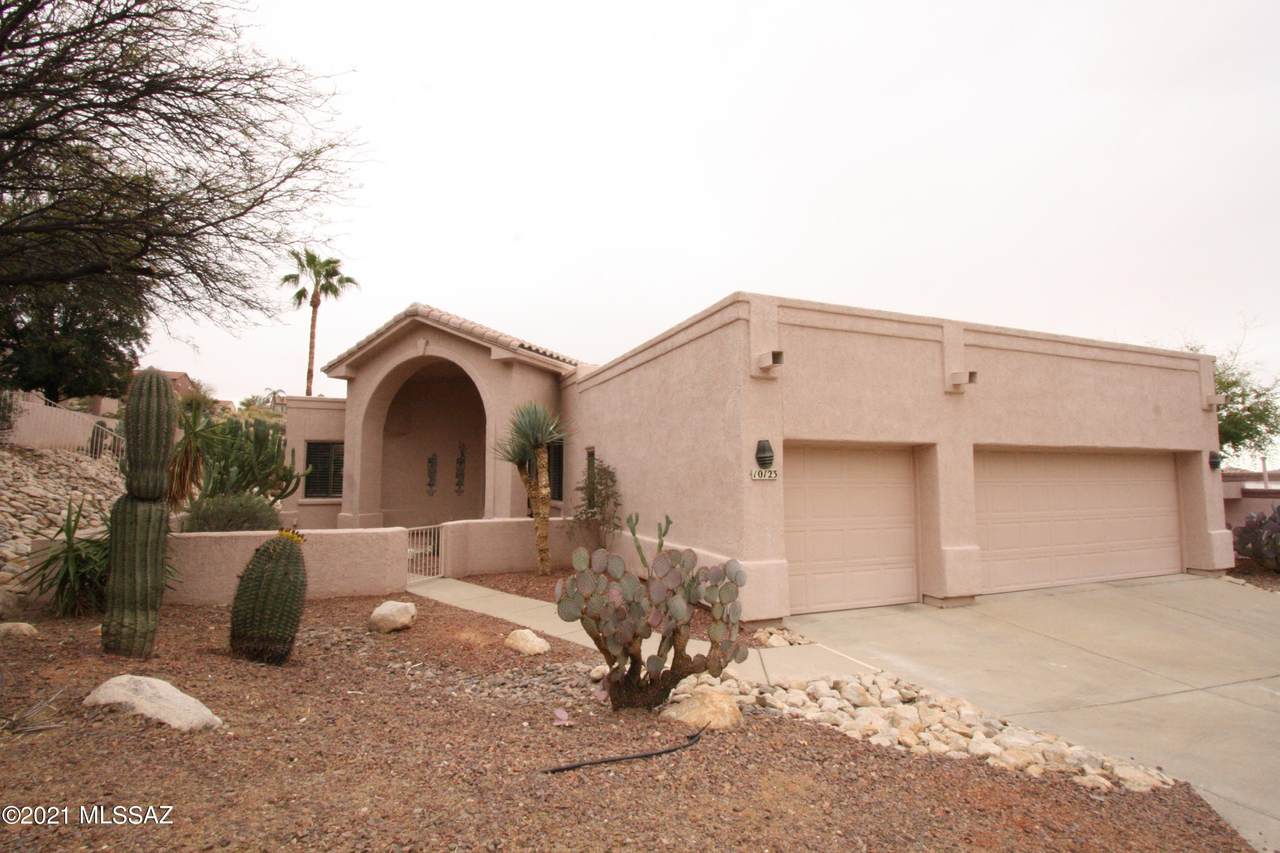 10123 Alder Spring Drive - Photo 1