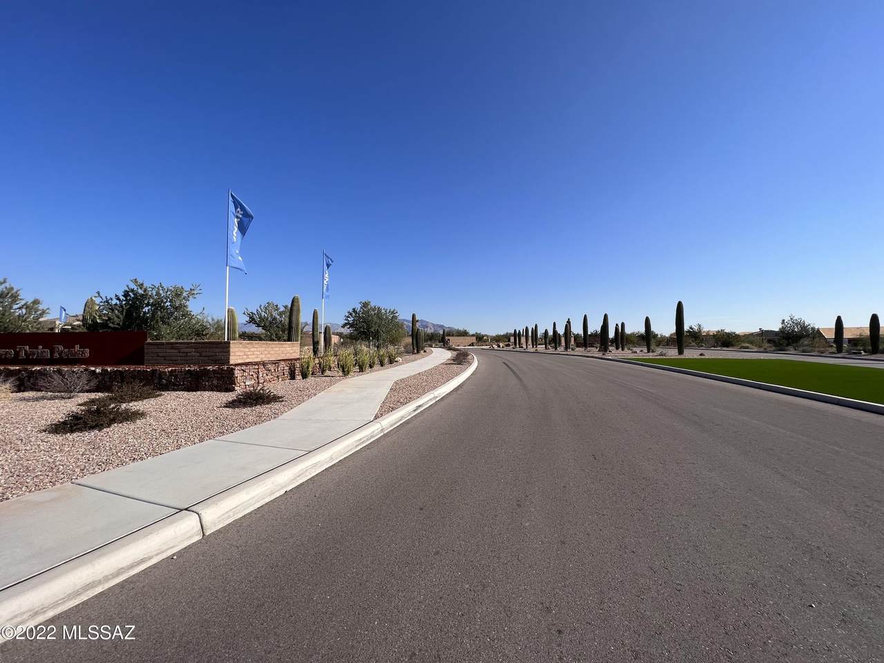 10861 Cactus Point Drive - Photo 1