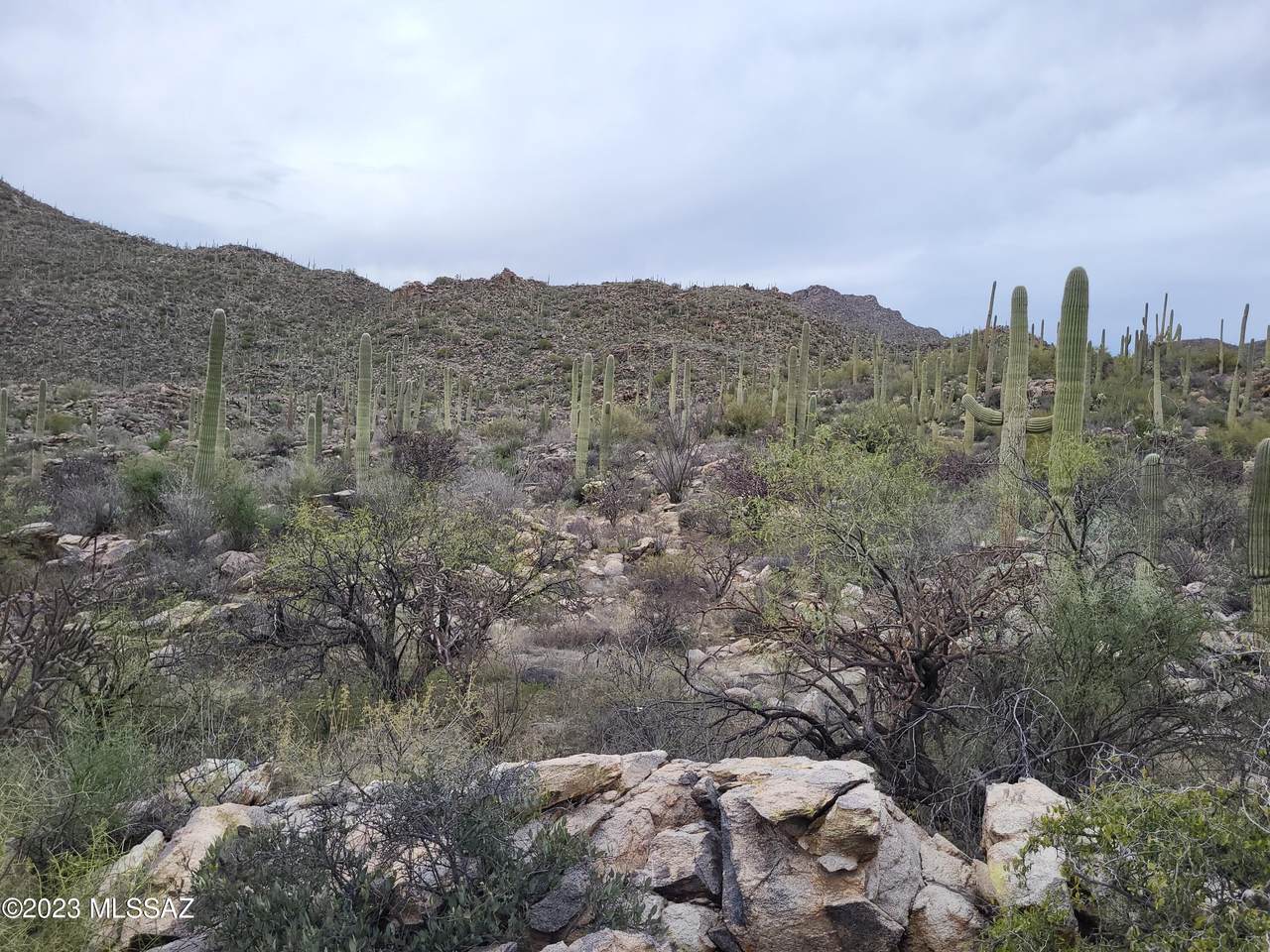 13820 Thornydale Road - Photo 1