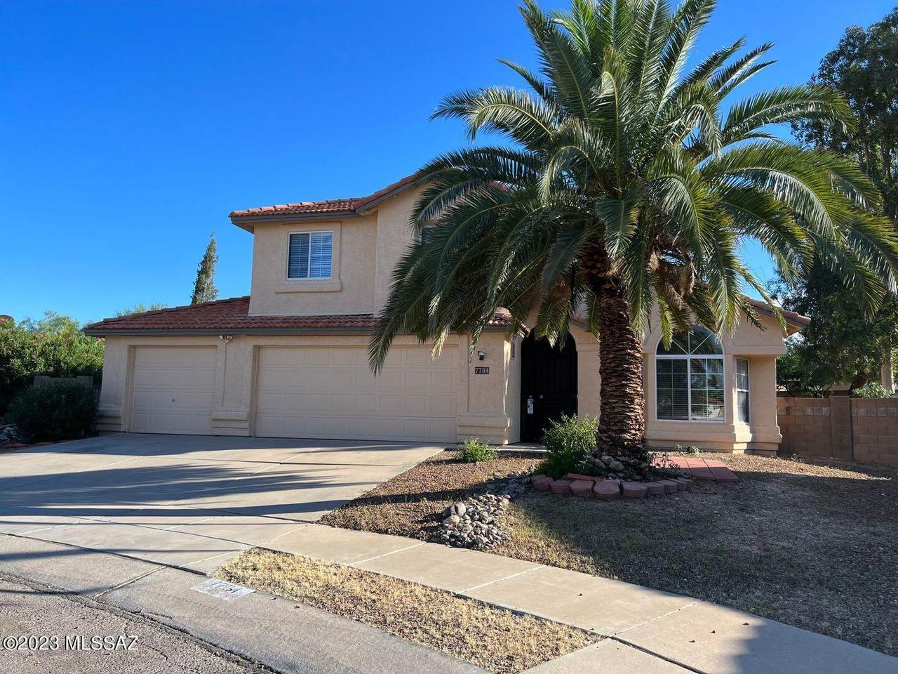 7704 Sugarberry Drive - Photo 1