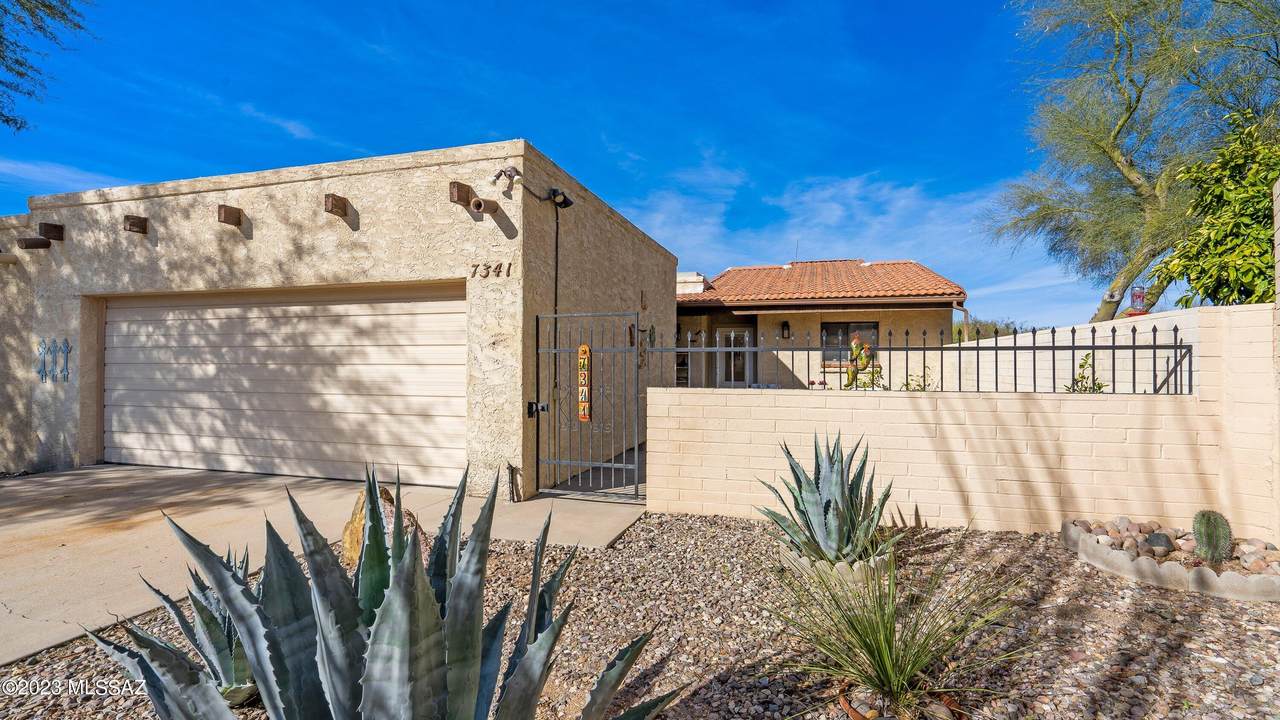 7341 Las Quintas Drive - Photo 1
