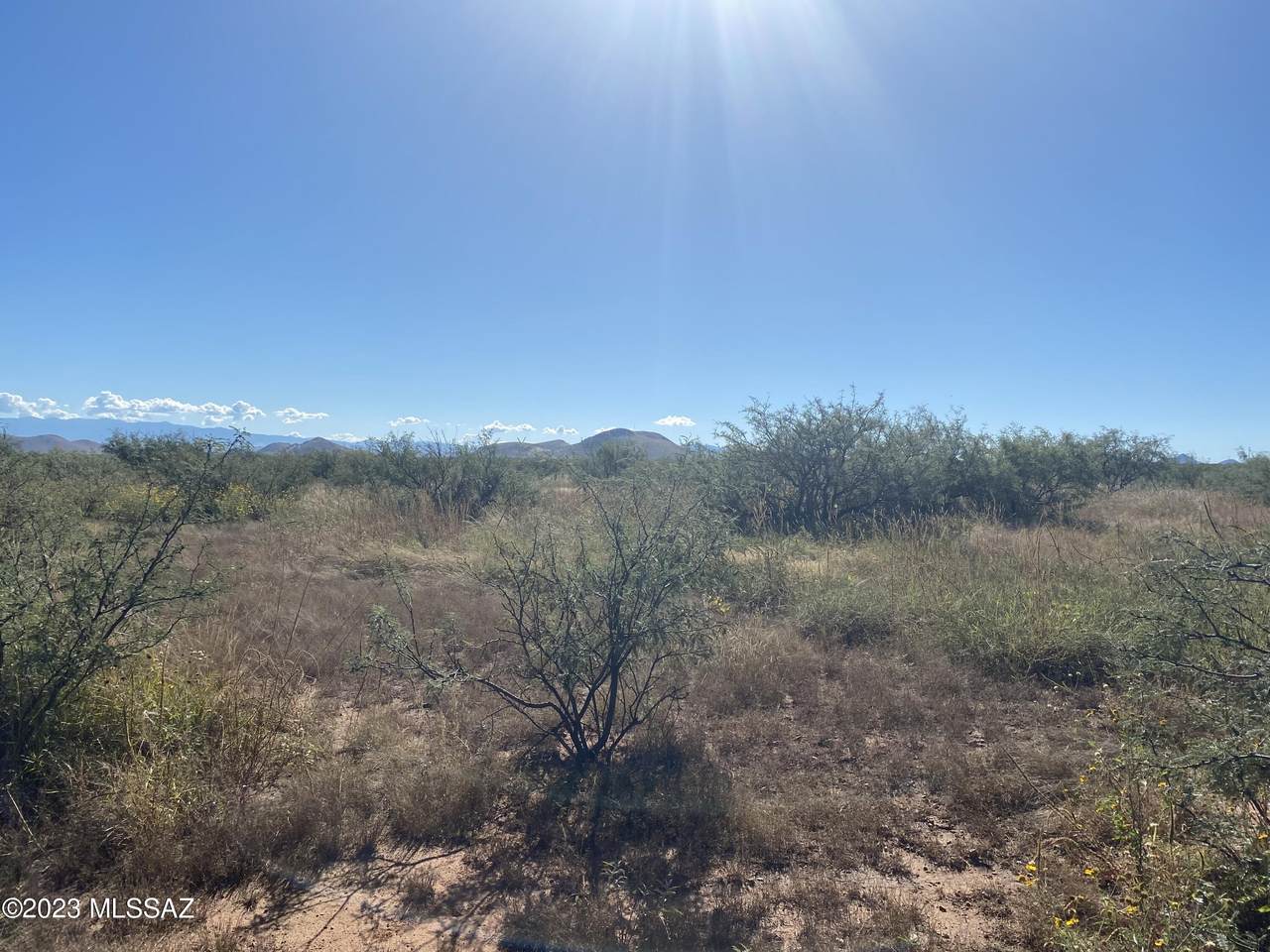 5 acres Dakota Drive - Photo 1