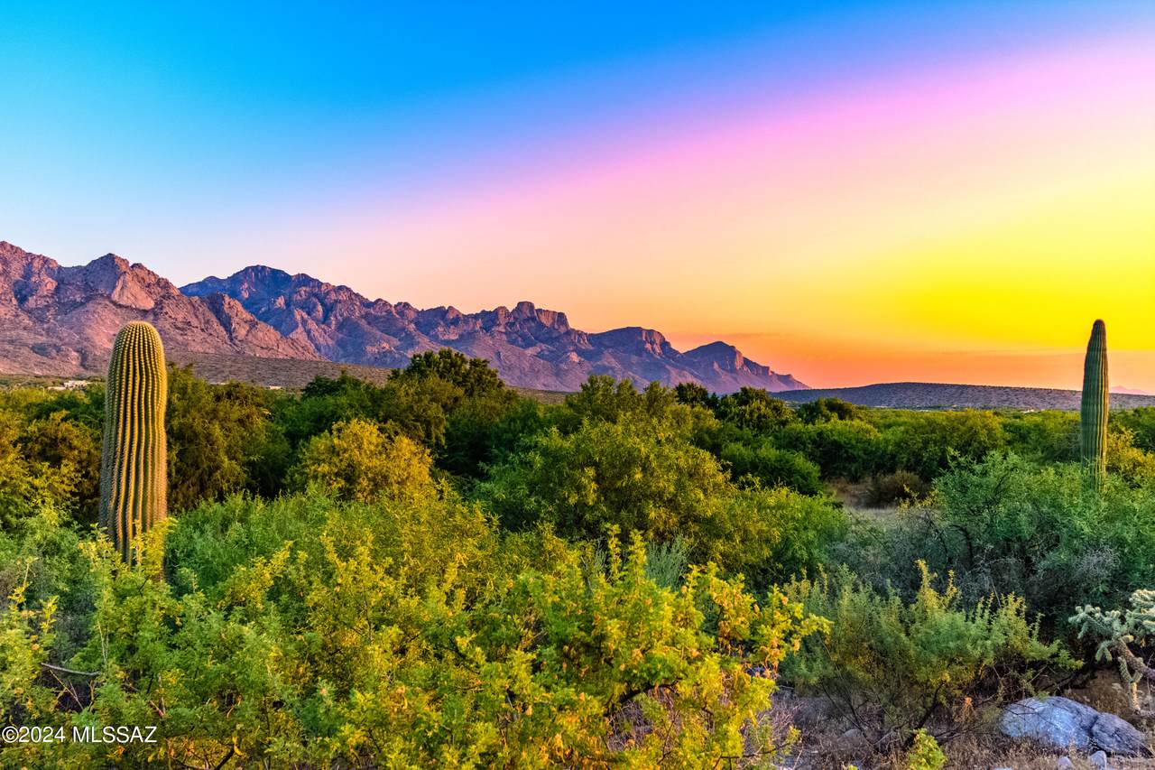 https://bt-photos.global.ssl.fastly.net/tucson/1280_boomver_1_22415249-2.jpg