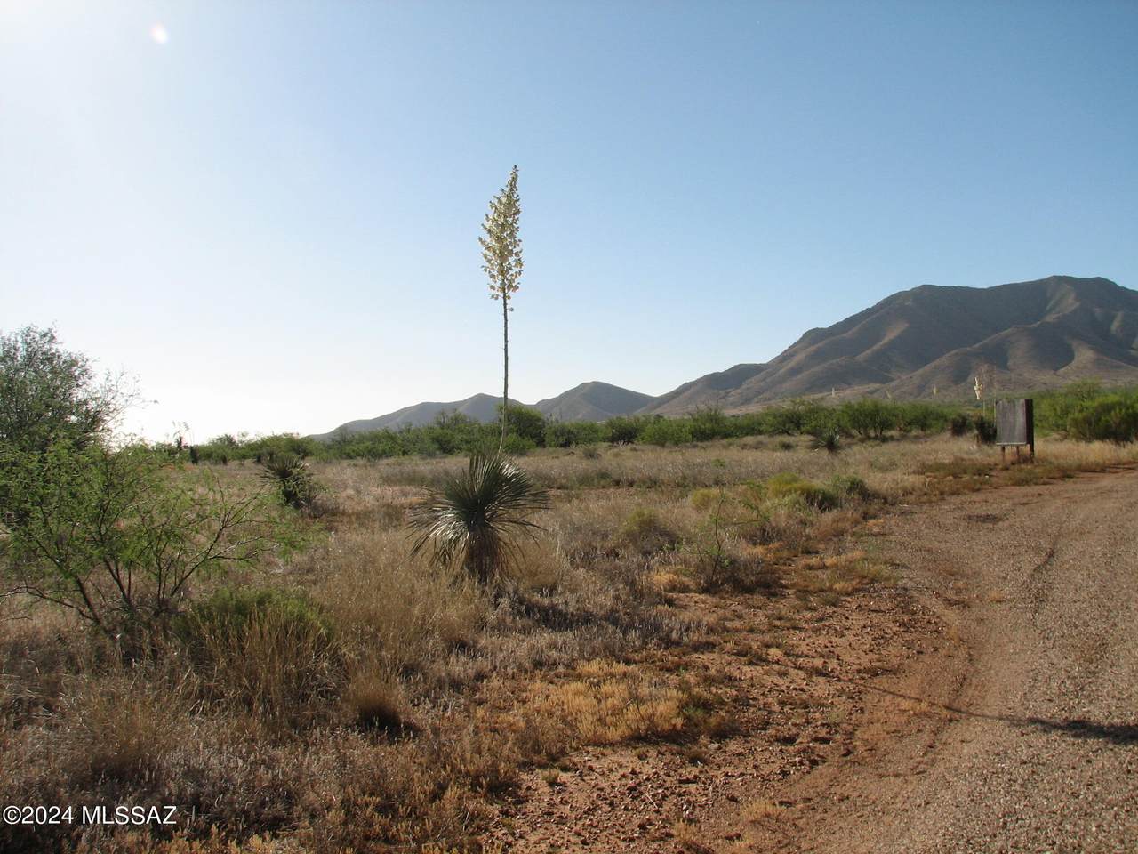 52 Acres Dragoon Road - Photo 1