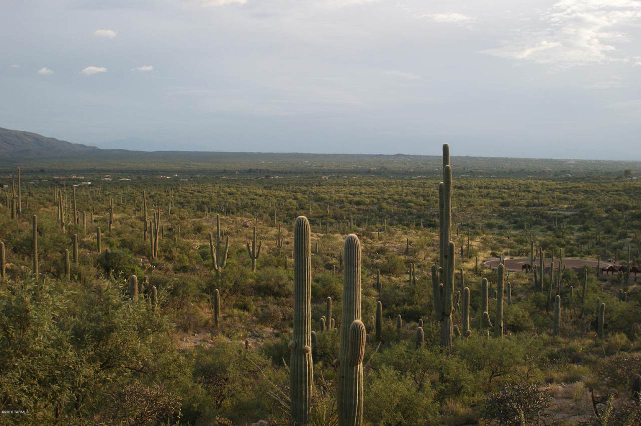 https://bt-photos.global.ssl.fastly.net/tucson/1280_boomver_1_22419849-2.jpg