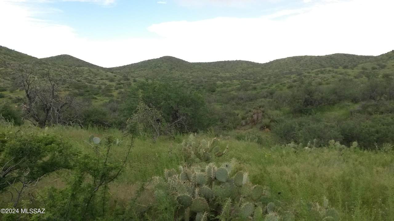 Goodenough Trail - Photo 1