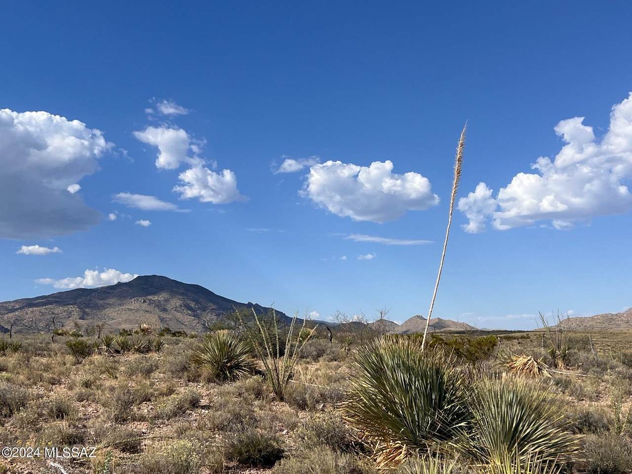 20 ac Claras Way - Photo 1