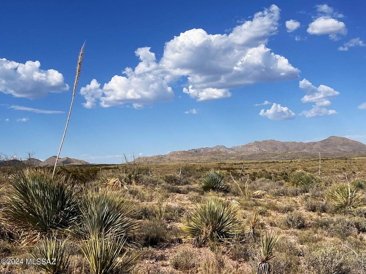 https://bt-photos.global.ssl.fastly.net/tucson/1280_boomver_1_22425233-2.jpg