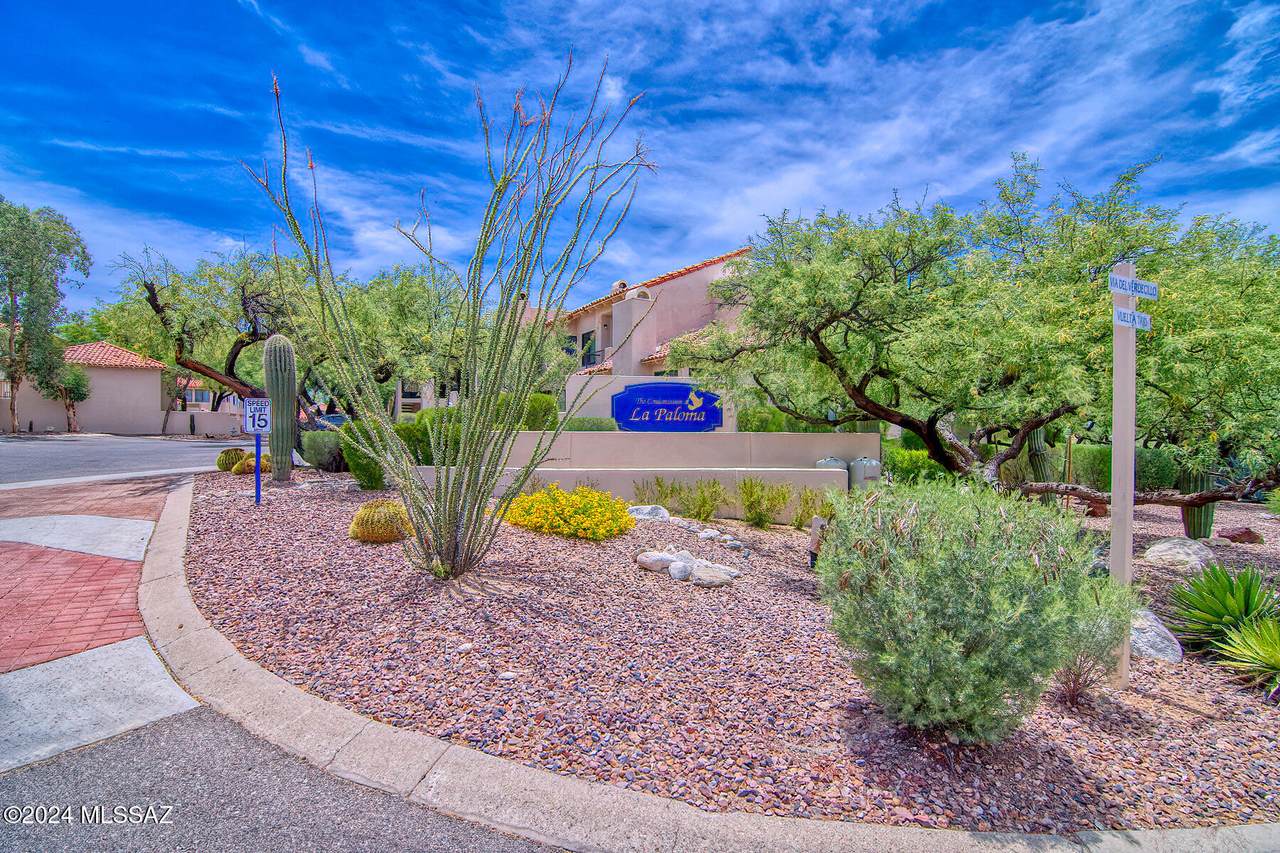 https://bt-photos.global.ssl.fastly.net/tucson/1280_boomver_1_22430209-2.jpg