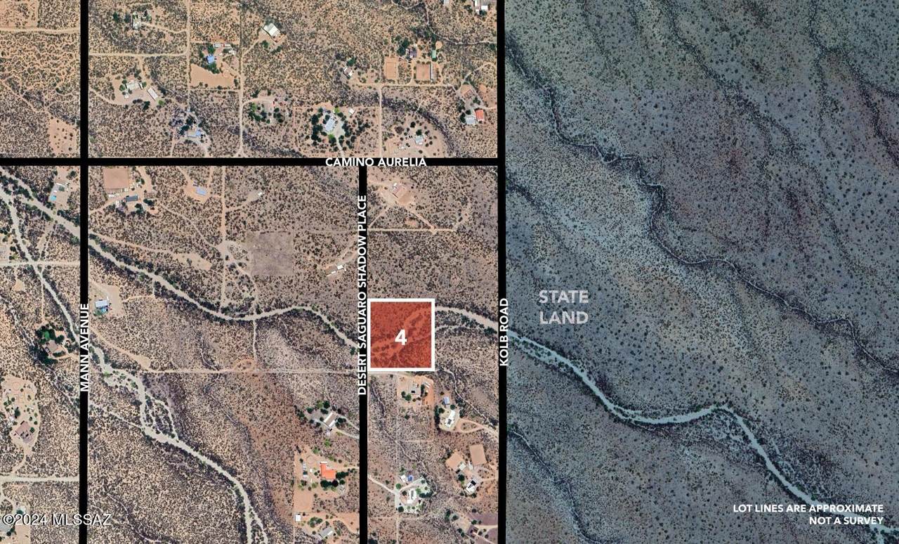 17851 Desert Saguaro Shadow Place - Photo 1