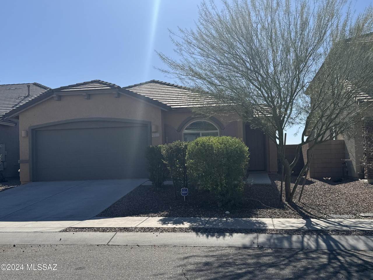 11384 Creosote Range Drive - Photo 1