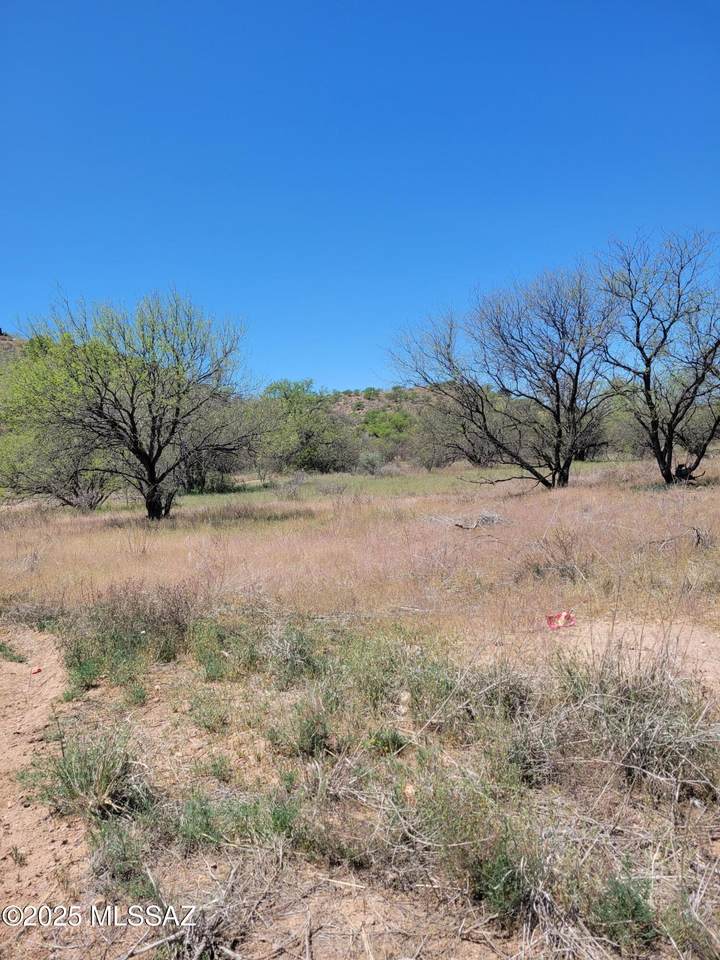  Baffert Drive - Photo 1
