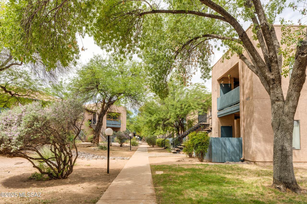https://bt-photos.global.ssl.fastly.net/tucson/1280_boomver_1_22502916-2.jpg
