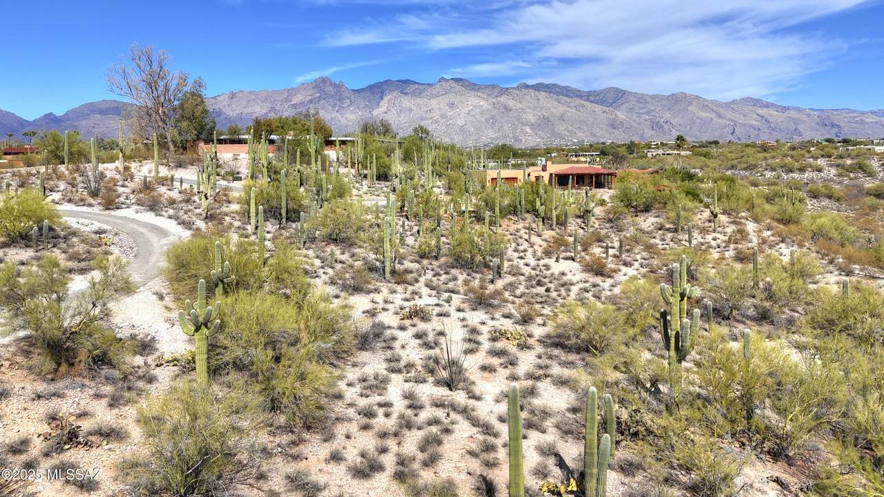 0000 Camino Kino - Photo 1