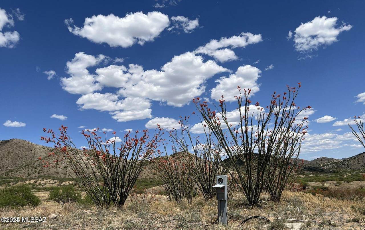 TBD Cougar Pass - Photo 1